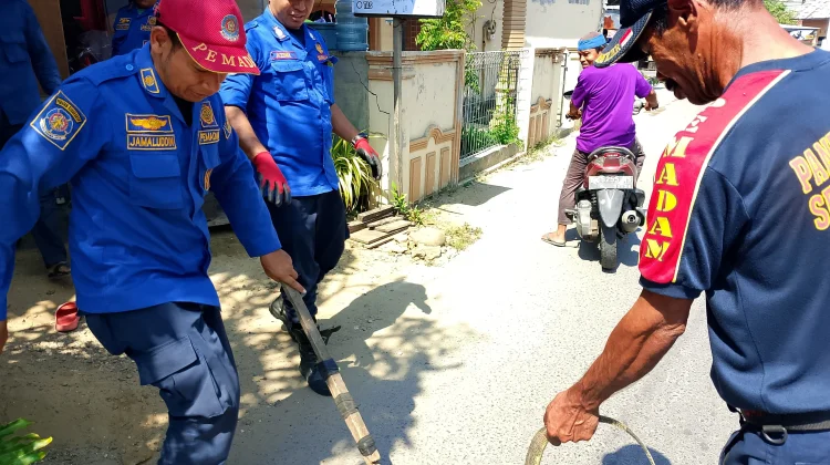 Damkar Lhokseumawe Evakuasi Biawak di Rumah Warga