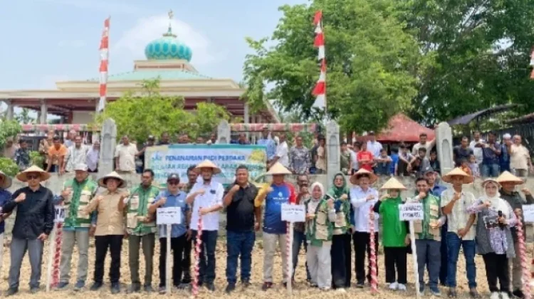 Padi Gogo Jadi Solusi Pemulihan Lahan Pascabencana di Bireuen