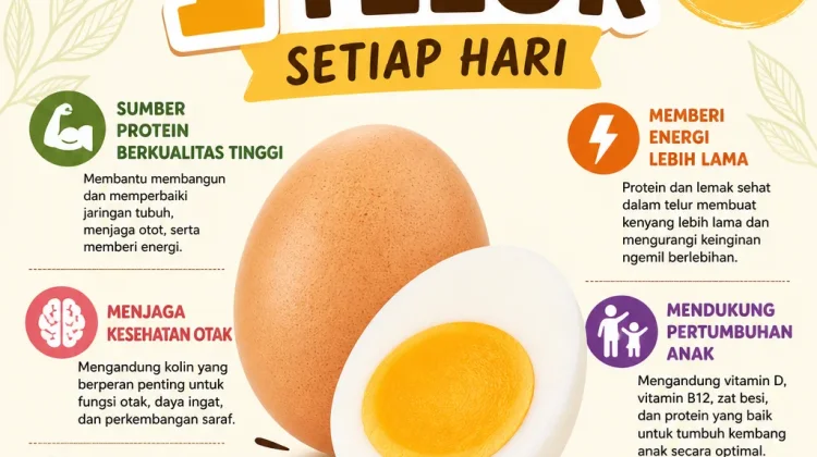 Pentingnya Konsumsi 1 Butir Telur Setiap Hari