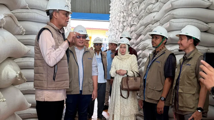 Bulog Lhokseumawe Catat Stok Beras Tertinggi, Aman Setahun ke Depan