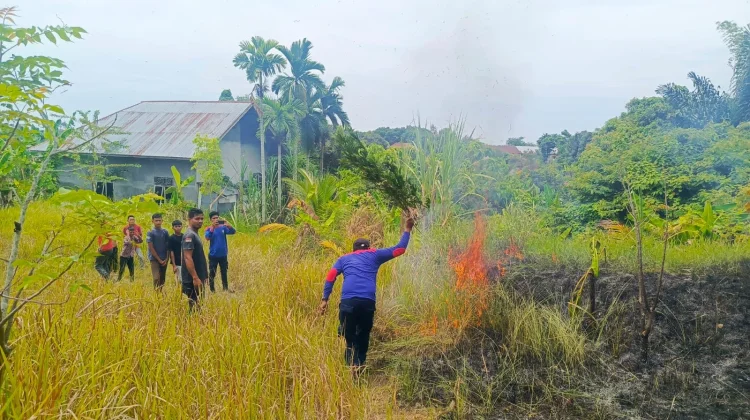 Damkar Lhokseumawe Bergerak Cepat Padamkan Kebakaran Lahan Uteunkot