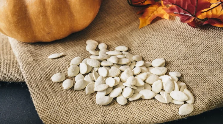 Protein Nabati dari Biji Labu, Camilan Sehat Kaya Nutrisi