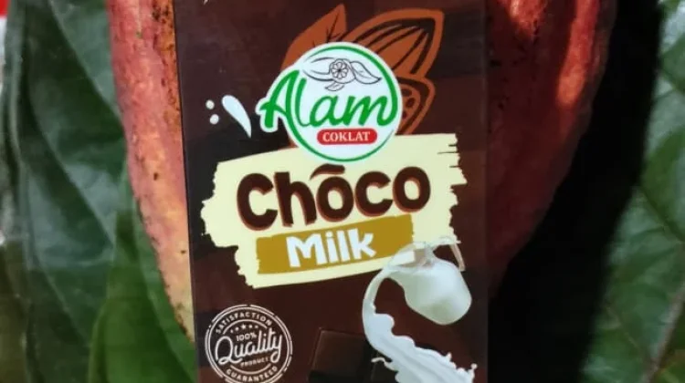 Dari Nisam ke Bali, Kakao Aceh Utara Tembus Industri Cokelat Premium