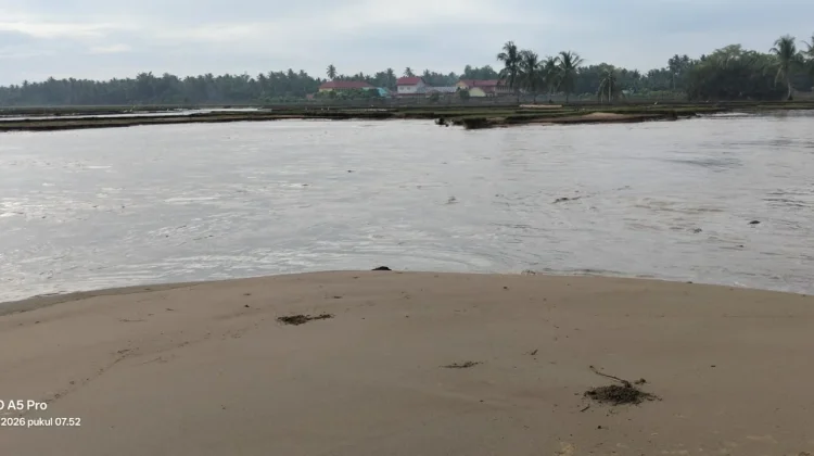 Penasehat DPD Tani Merdeka Aceh Utara Desak Pemerintah Segera Tangani Abrasi