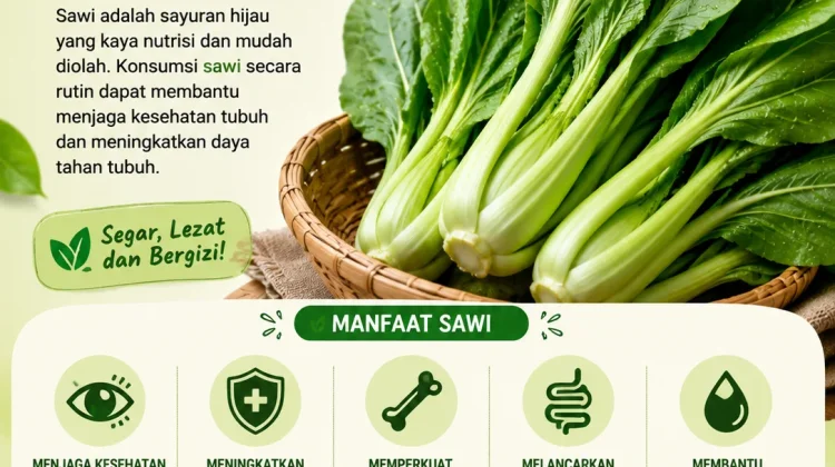 Manfaat Konsumsi Sawi+Nanas