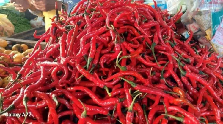 Harga Cabe di Pasar Inpres Lhokseumawe Stabil jelang Meugang Idul Adha