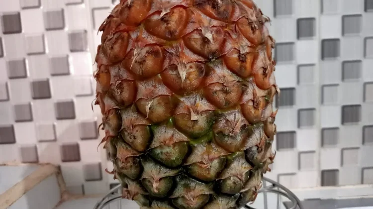 ternyata Buah Nanas Memiliki Banyak Manfaat untuk Kesehatan Tubuh