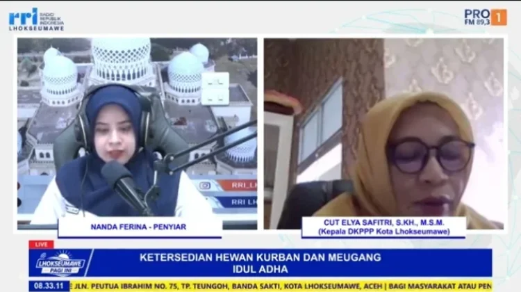 DKPPP Lhokseumawe Intensifkan Pengawasan Hewan Kurban Menjelang Idul Adha 1447 H