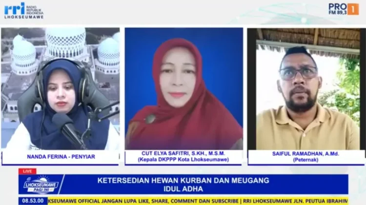 Stok Hewan Kurban dan Meugang di Lhokseumawe Aman