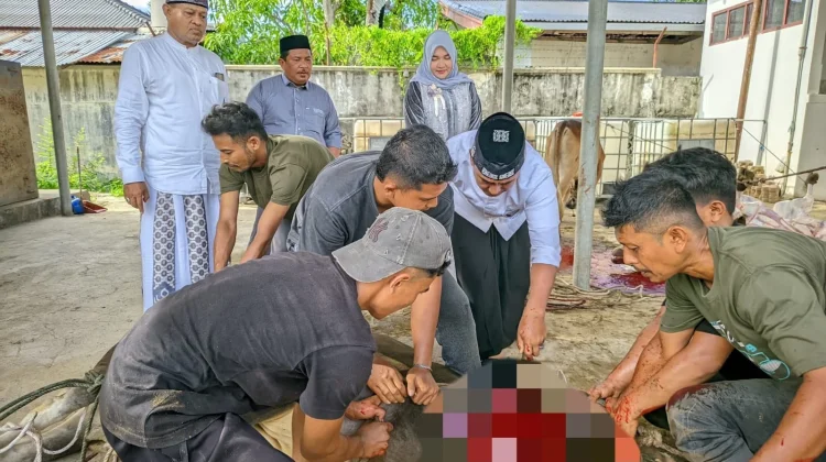 Kapolres Lhokseumawe AKBP Ahzan Sembelih Langsung Hewan Kurban di Mapolres