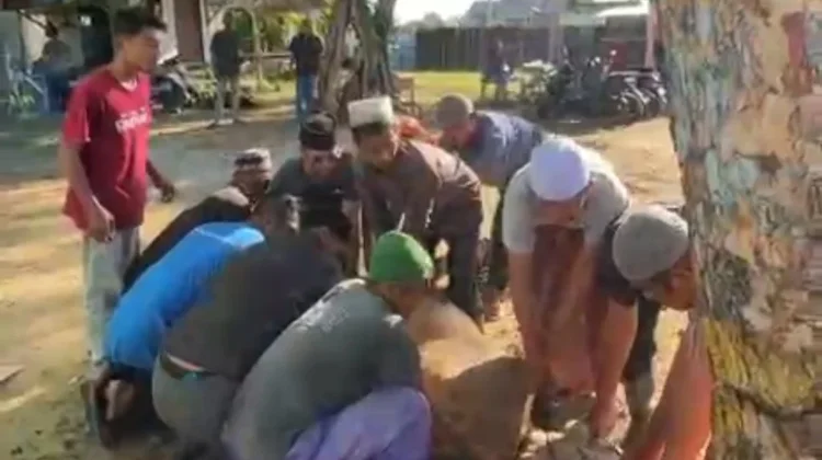 Cabang Dayah Abu Paya Pasi di Lhokseumawe Sembelih Dua Ekor Sapi Qurban