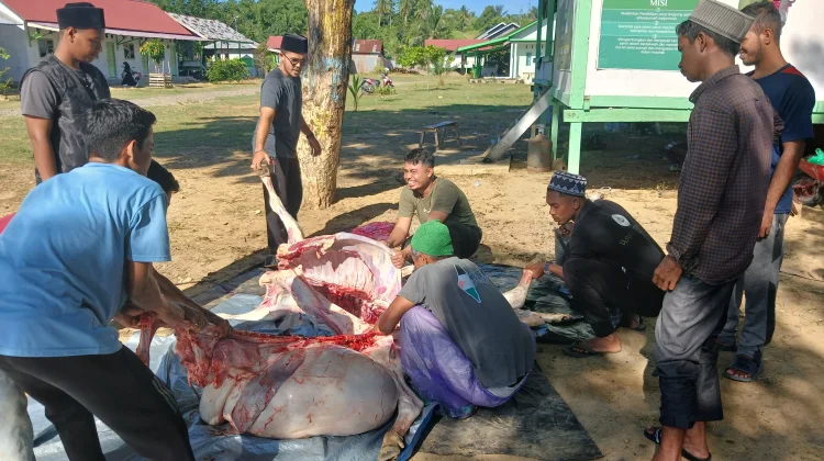 Warga Meunasah Blang Kandang Laksanakan Penyembelihan Qurban