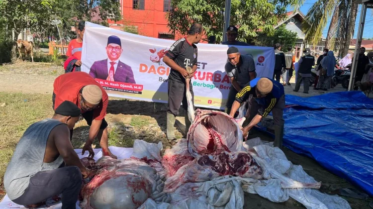 Anggota DPR RI Fraksi PKS. Nasir Djamil Salurkan 33 Hewan Kurban Idul Adha 1447 H