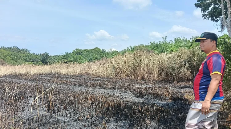 Camat Julok Ingatkan Bahaya Membakar Jerami dan Sampah saat Kemarau