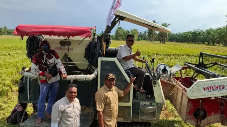 DPD Tani Merdeka Aceh Utara Soroti Pentingnya Ketersediaan Pupuk bagi Petani