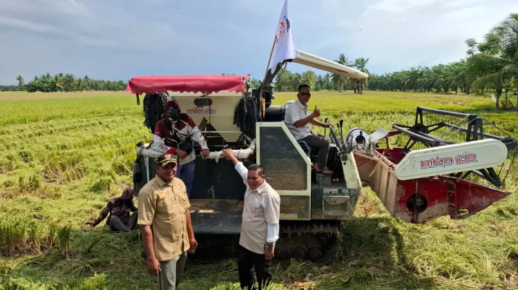 DPD Tani Merdeka Tinjau Pemanfaatan Combine Harvester Bantuan Presiden