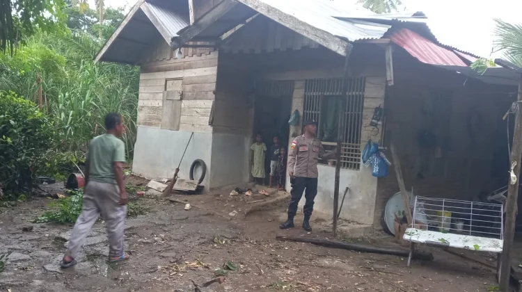 Dua Rumah Warga di Lhoksukon Tertimpa Pohon akibat Hujan dan Angin Kencang