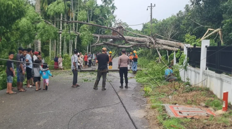 Polisi Bersama Warga Evakuasi Pohon dan Tiang Listrik Roboh