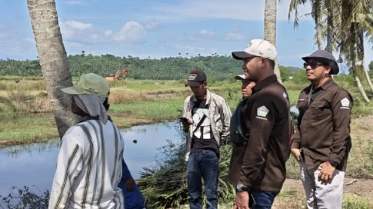 DKPPP Lhokseumawe Tinjau Rehabilitasi Tambak Pascabanjir di Ujong Pacu