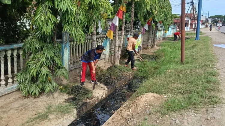Pasca Sembilan Pasien DBD Dirawat, Camat Julok Gelar Gotong Royong