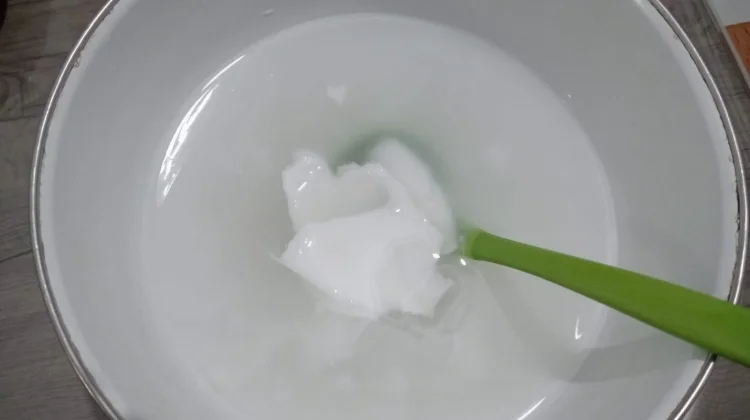 Kesegaran Alami dari Alam Tropis, Kelapa Muda Jadi Minuman Favorit Masyarakat