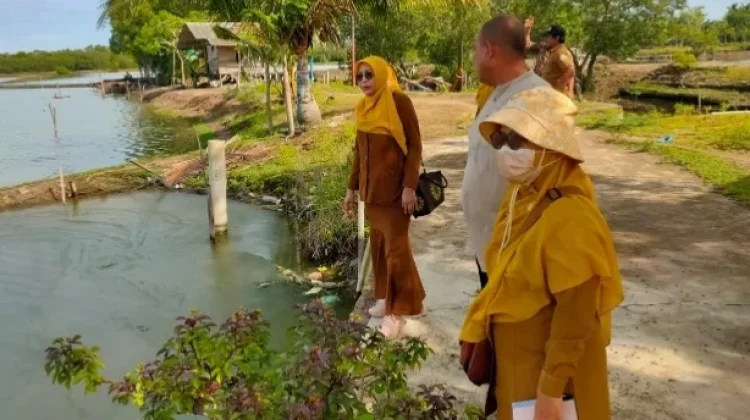 DKPPP Verifikasi Lokasi Rehabilitasi Tambak Pascabanjir di Kuala Blang Mangat