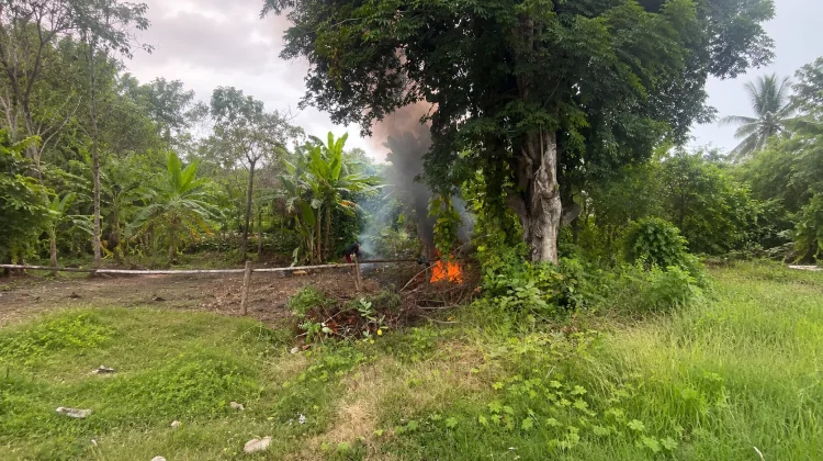 Bakar Sampah di Pekarangan, Praktis tapi Berisiko
