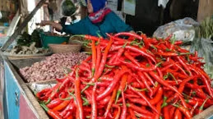 Cabai Merah Besar Pimpin Kenaikan Harga Pangan di Aceh