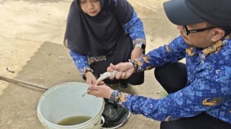 DKPPP Lhokseumawe Turun Tangan Tangani Keluhan Pembudidaya Ikan
