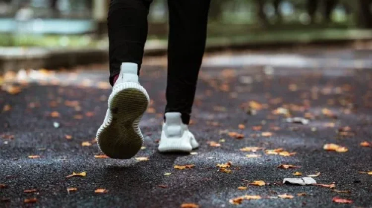 Mengapa Jalan Kaki 30 Menit Sehari Sangat Dianjurkan?