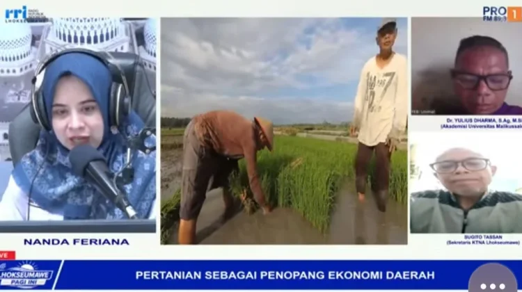 Pentingnya Optimalisasi Sektor Pertanian Demi Menopang Ekonomi Daerah