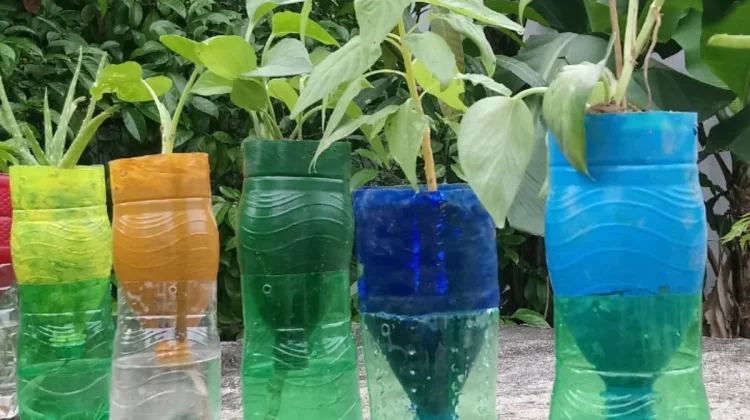 Sulap Sampah Plastik dan Barang Bekas Menjadi Media Berkebun yang Bermanfaat