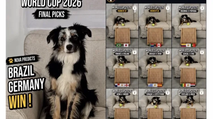 Prediksi Nova Viral di Piala Dunia 2026