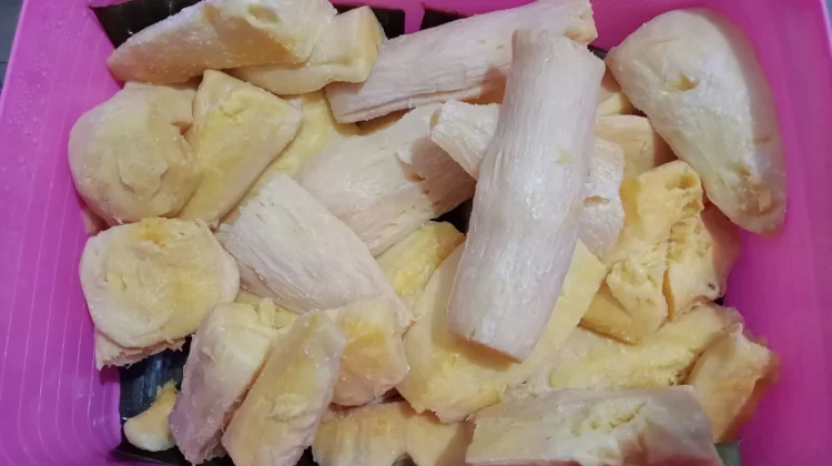 Tape Ubi, Fermentasi Tradisional Kaya Nutrisi yang Bermanfaat untuk Kesehatan