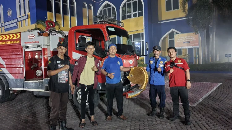 Damkar Lhokseumawe Evakuasi Sarang Tawon di Kantor Pajak