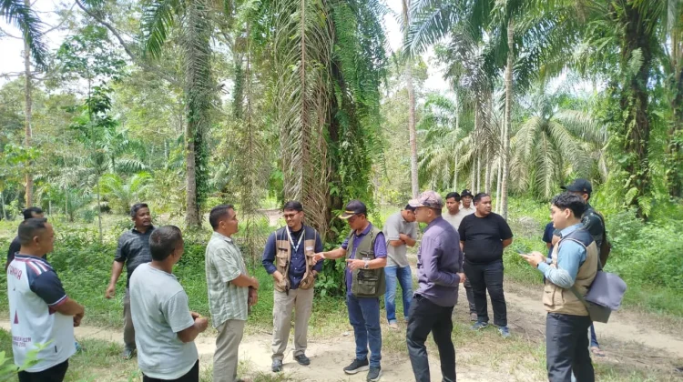 Pemkab Aceh Utara Dampingi Tim Kementerian Tinjau Lokasi di Kecamatan Langkahan