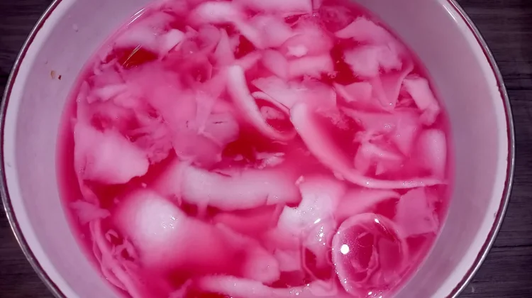 Air Kelapa: Minuman Alami yang Menyegarkan dan Kaya Manfaat