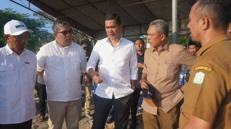 Sekda Aceh Tinjau Rehabilitasi Sawah di Aceh Timur