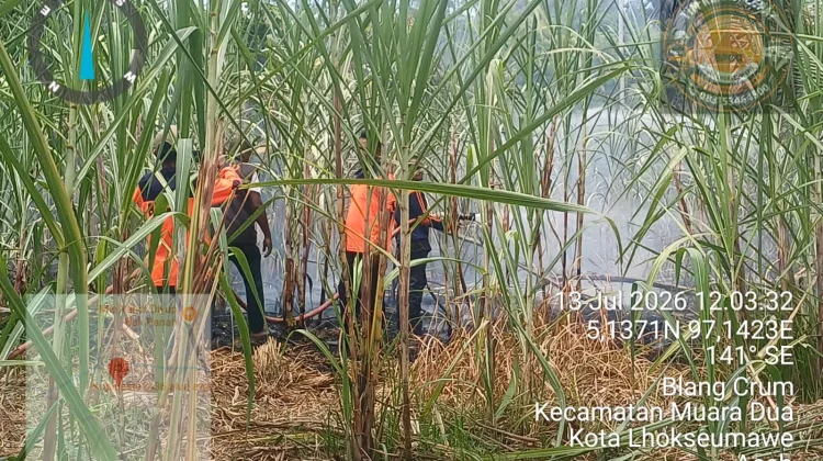 Diduga Akibat Bakar Sampah, Lahan Blang Crum Terbakar