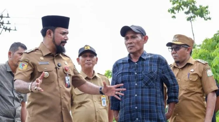 Bupati Al- Farlaky Tinjau Jembatan Gantung Bhom Lama- Blang Simpoe