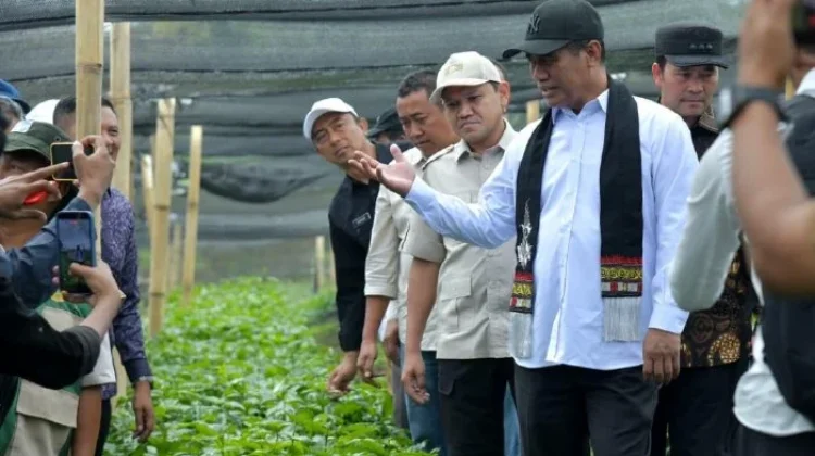 Menteri Pertanian Dukung Pengembangan Pertanian dan Kopi Gayo