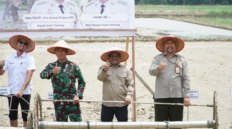 Tanam Perdana Pasca-Bencana, Aceh Tamiang Adopsi Teknologi Pertanian Modern
