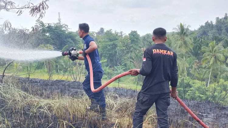 Kebakaran Lahan Blang Poroh Nyaris Capai Permukiman Warga