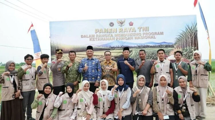 Panen Raya TNI di Aceh Tamiang Perkuat Swasembada Pangan Nasional