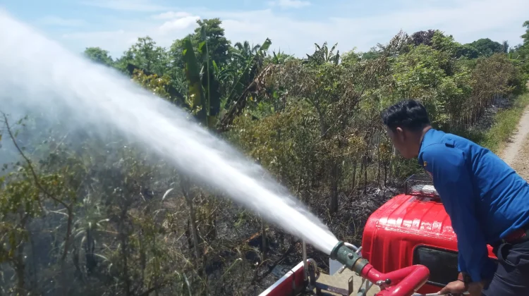 Damkar Lhokseumawe Padamkan Kebakaran Lahan Alue Lim