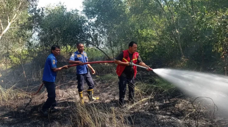 Cuaca Panas, Jangan Sembarangan Bakar Lahan Kering