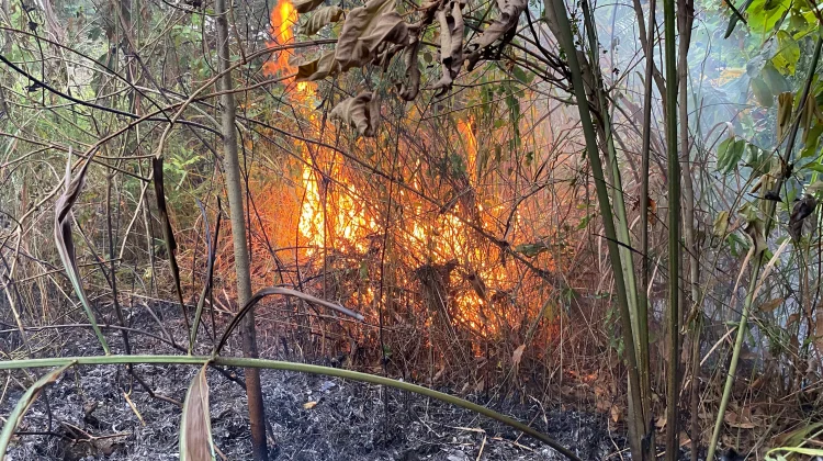 Damkar Lhokseumawe Padamkan Kebakaran Lahan Cot Sabong