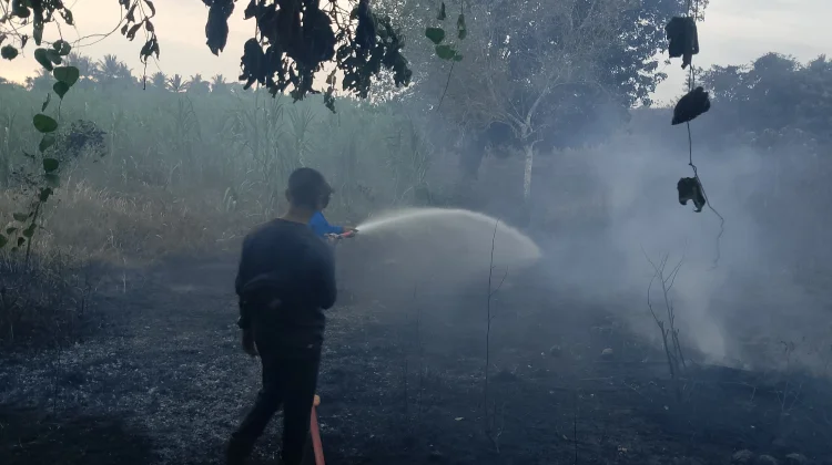 Kebakaran Lahan di Muara Dua Berhasil Dikendalikan
