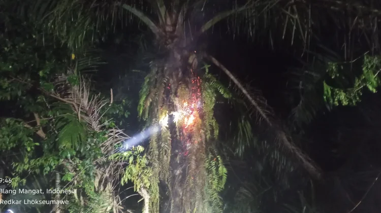 Pembakaran Sampah Picu Kebakaran Lahan di Blang Mangat