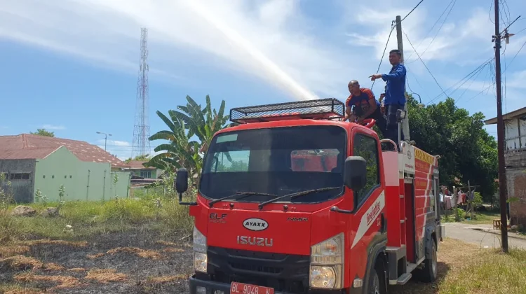 Lahan Perbatasan Blang Pulo Terbakar, Damkar Bergerak Cepat